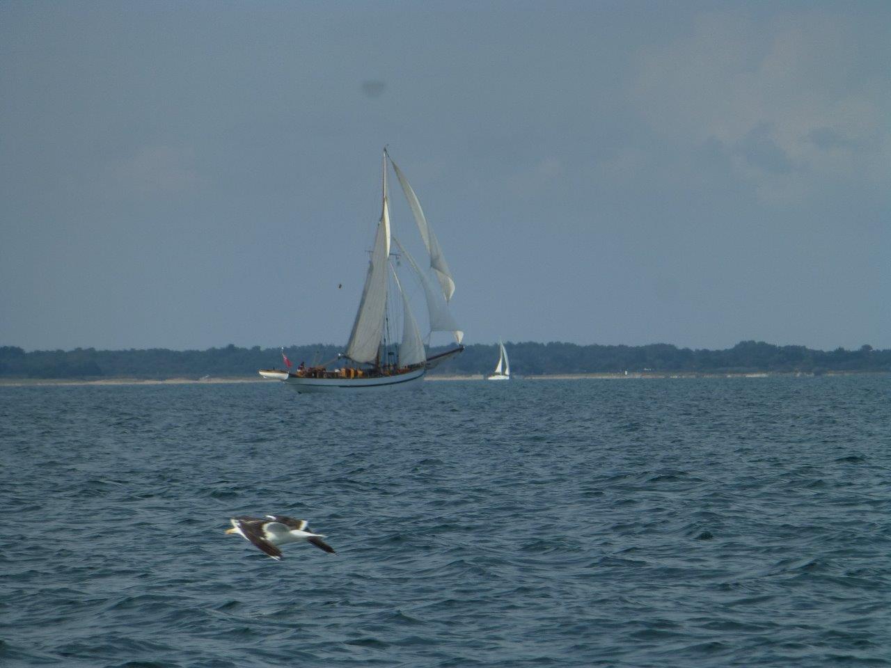 08 09 2015 mini croisiere pertuis 078 1